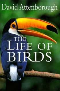 The Life of Birds