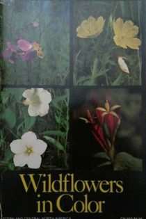Wildflowers in Color