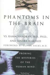 Phantoms in the Brain