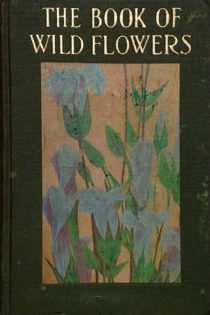 Wild Flowers Worth Knowing