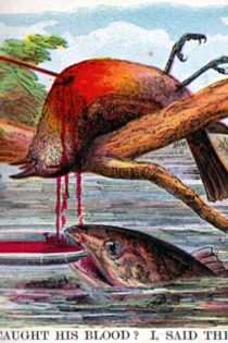 Illustrations from The Death and Burial of Poor Cock Robin