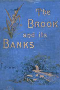 The Brook and its Banks