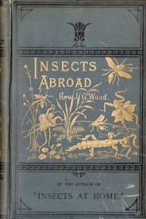 Insects Abroad