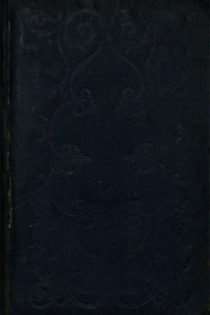 The New Comic Annual