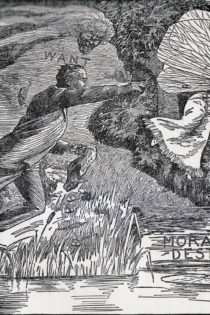 Consequence of the Pursuit of Pleasure