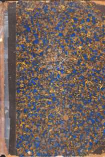 The Peterson Magazine