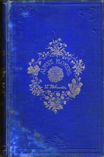 Alpine Flowers for English Gardens