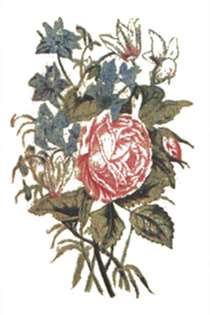 The Language of Flowers