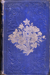 Wanderings Among The Wild Flowers