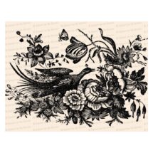 Victorian Pheasant with Butterfly and Flowers Vector Clip Art | Vintage Bird, Floral, Insects | Instant Download SVG PNG JPG