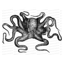Victorian Octopus | Antique Vintage Ocean Life Devilfish Mollusc Cephalapod Vector Clip Art SVG PNG JPG Instant Digital Download