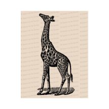 Victorian Giraffe | Antique Vintage African Animals Vector Clip Art SVG PNG JPG Instant Digital Download