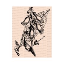 Edwardian Foxglove | Antique Foxglove Digitalis Flower | Vintage Botanical Floral Vector Clip Art Instant Download PNG JPG SVG