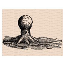 Edwardian Octopus | Antique Vintage Ocean Life Devilfish Mollusc Cephalapod Vector Clip Art SVG PNG JPG Instant Digital Download