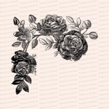 Victorian Roses Vector Clip Art | Vintage Floral, Flower | Instant Download SVG PNG JPG