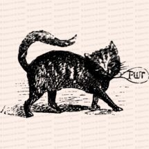 Victorian Purring Cat | Vintage Antique Kitty Kitten Cats Vector Clip Art SVG PNG JPG Digital