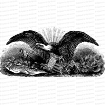 Vintage Patriotic Bald Eagle | Antique Victorian Eagle with Shield, Olive Branch, Constitution, Arrows, other symbols | SVG PNG JPG