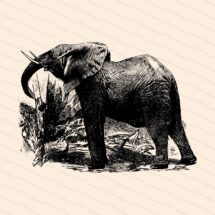 Victorian Elephant Vector Clipart | Antique Vintage Elephant| Instant Download Clipart | SVG PNG JPG