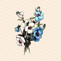 Victorian Floral Blue and White Pansies Vector Clip Art | Antique Pansy Flower | Vintage Viola Botanical Color Instant Download PNG JPG SVG