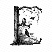 Ornamental Penwork Initial Letter E Vector Clipart  | Victorian Nature Capital Letter E, Rustic Woodland Birds Antique Monogram SVG PNG JPG
