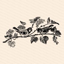 Victorian Birds on Flowering Tree Branch Vector Clipart | Antique Small Song Birds SVG PNG JPG Instant Download