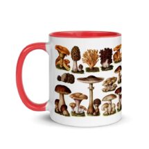 Mushroom Mug: Edible Fungi & Mushrooms, Red Interior | Edwardian Botanical Illustration | Fungus, Mushroom, Retro Mushroom Gift