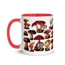 Mushroom Mug: Poisonous Fungi & Mushrooms, Red Interior | Edwardian Botanical Illustration | Fungus, Mushroom, Retro Mushroom Gift