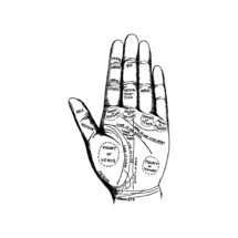 Antique Digital Palmistry Hand Vector Clipart | Vintage Chiromancy Palm-Reading Fortune-Telling Occult Mystic Instant Download SVG PNG JPG