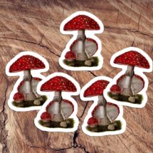 Fly Agaric Stickers | Psychoactive, Hallucinogenic Red Mushroom Vinyl Sticker Set Decals, Amanita muscaria Mushrooms, Small Gift