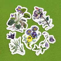 Old Fashioned Purple Flowers Sticker Set, 5 Victorian Botanical Floral Vinyl Stickers Columbine Violets Pansies Anemone, Small Gift