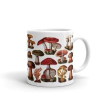 Mushroom Mug: Retro Fungi & Mushrooms | Edwardian Botanical Illustration | Fungus, Mushroom, Mushroom Gift