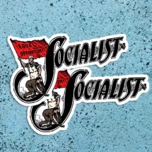 Set Two Socialist Large Vinyl Stickers | Edwardian Socialism | Retro Socialism, Equal Opportunity Flag, Small Gift