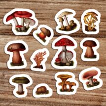 Poisonous Fungi & Mushrooms Vinyl Sticker Set | 12 Edwardian Botanical Stickers, Fungus Decal, Retro Mushroom, Small Gift